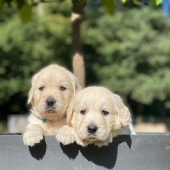 WhatsApp Image 2022-08-09 at 10.47.20